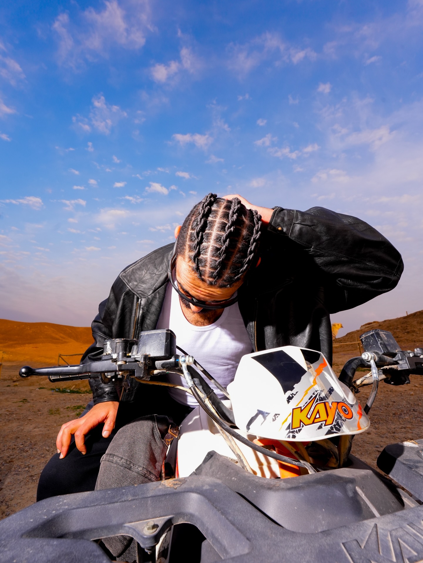 FaceLook gallery look four